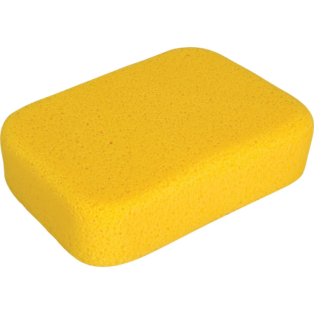 10160_ad_sponge-web_4363.webp